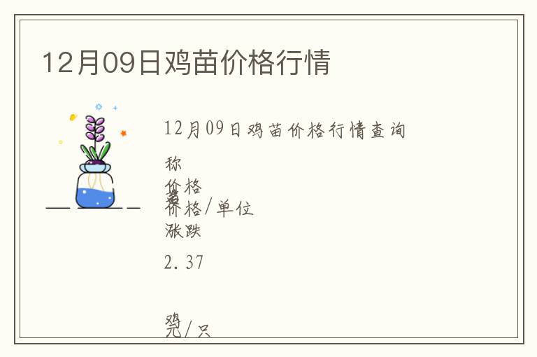 12月09日雞苗價格行情