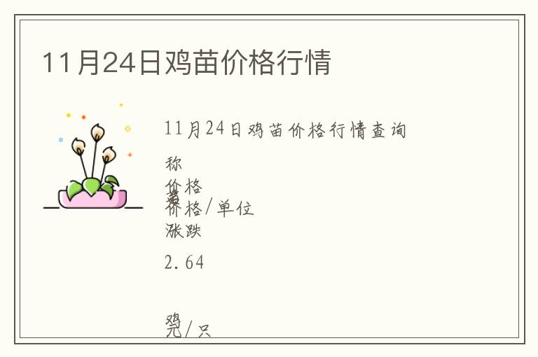 11月24日雞苗價格行情