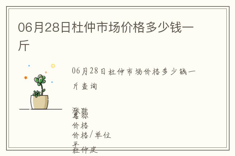 06月28日杜仲市場價格多少錢一斤