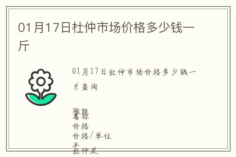 01月17日杜仲市場價(jià)格多少錢一斤