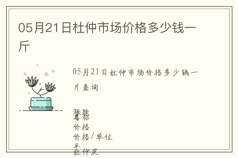05月21日杜仲市場價格多少錢一斤