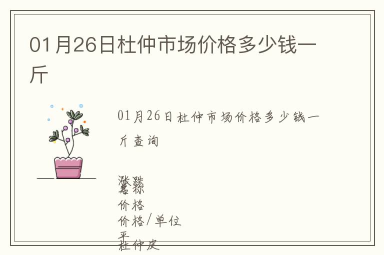 01月26日杜仲市場價格多少錢一斤