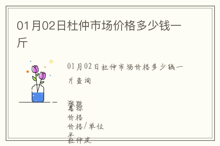 01月02日杜仲市場價格多少錢一斤