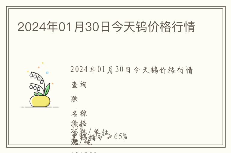2024年01月30日今天鎢價格行情