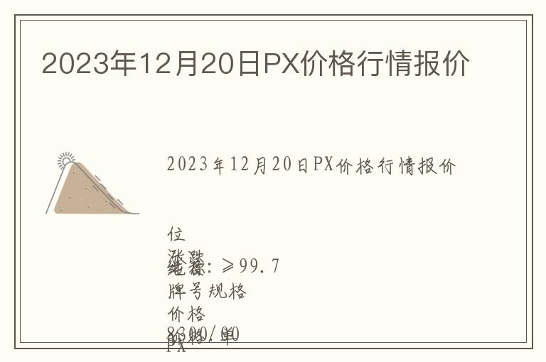 2023年12月20日PX價(jià)格行情報(bào)價(jià)
