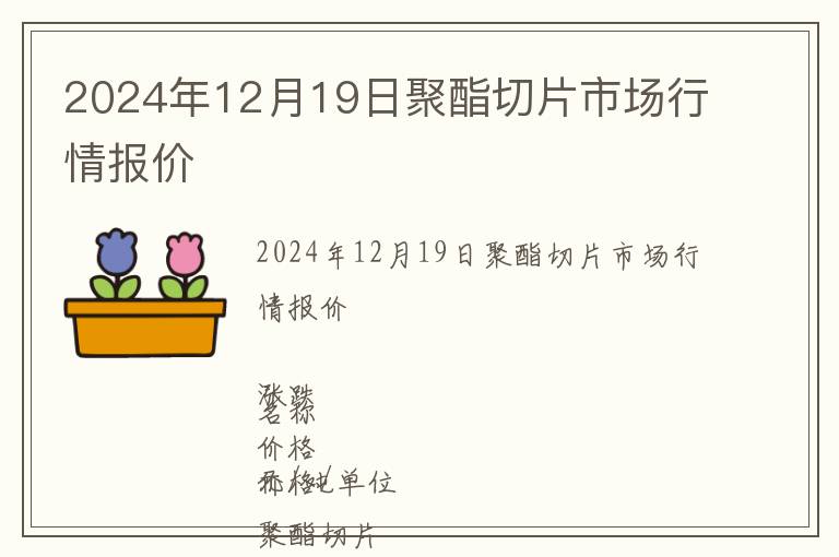 2024年12月19日聚酯切片市場行情報價