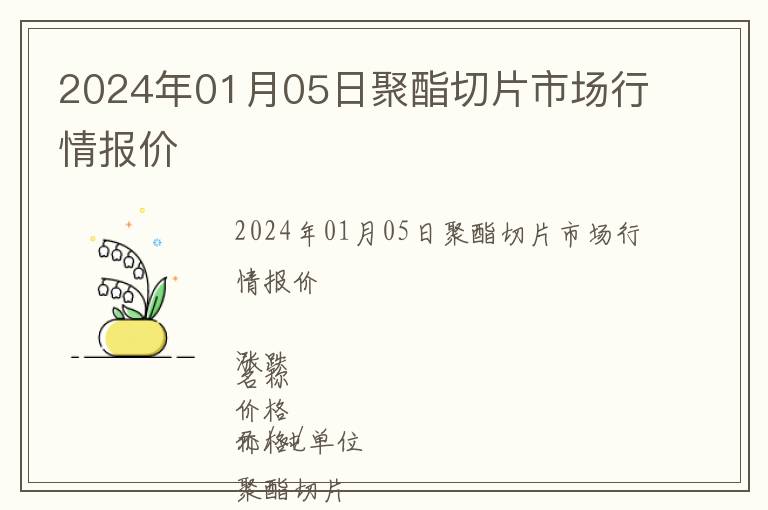 2024年01月05日聚酯切片市場行情報價