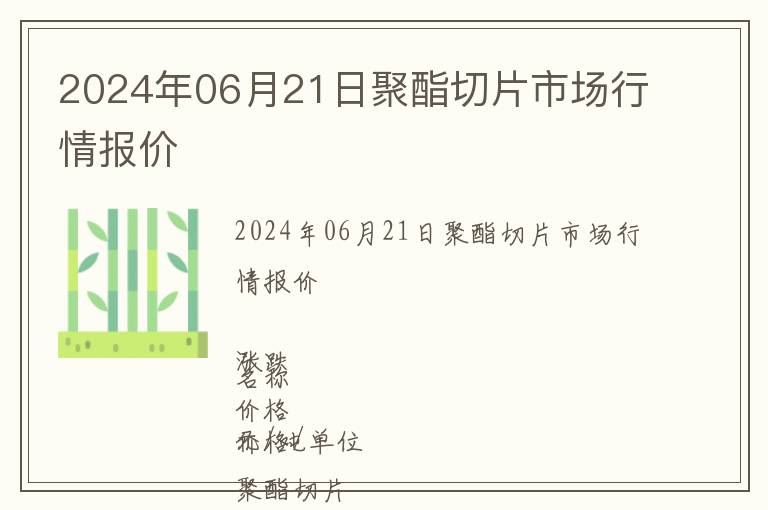 2024年06月21日聚酯切片市場行情報價