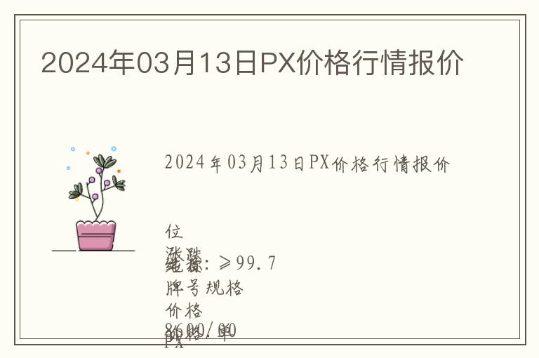 2024年03月13日PX價格行情報價