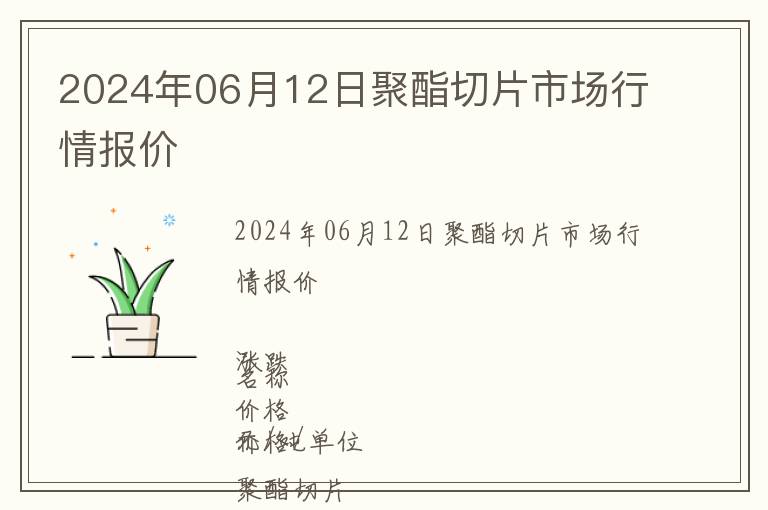 2024年06月12日聚酯切片市場行情報(bào)價(jià)