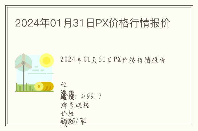 2024年01月31日PX價格行情報價
