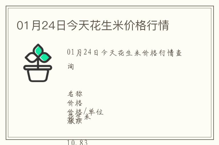 01月24日今天花生米價格行情