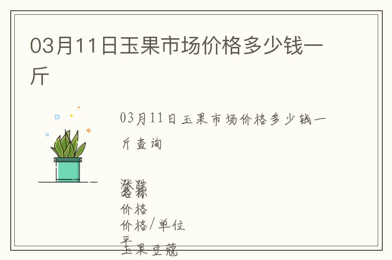 03月11日玉果市場(chǎng)價(jià)格多少錢一斤