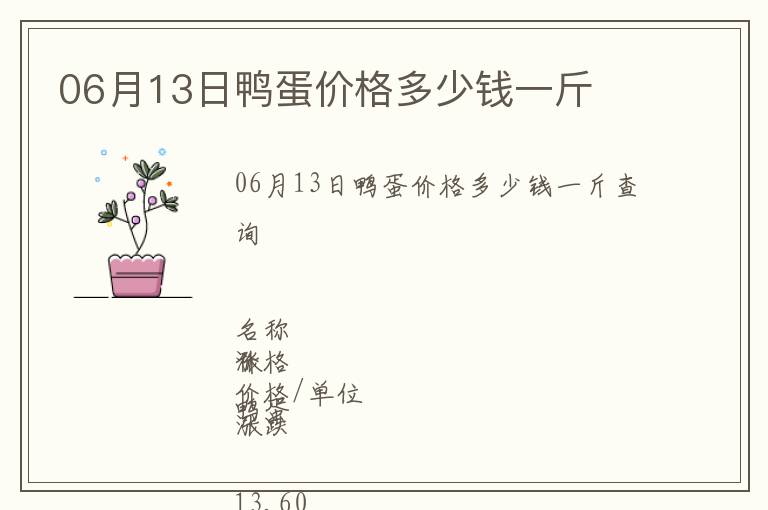 06月13日鴨蛋價格多少錢一斤