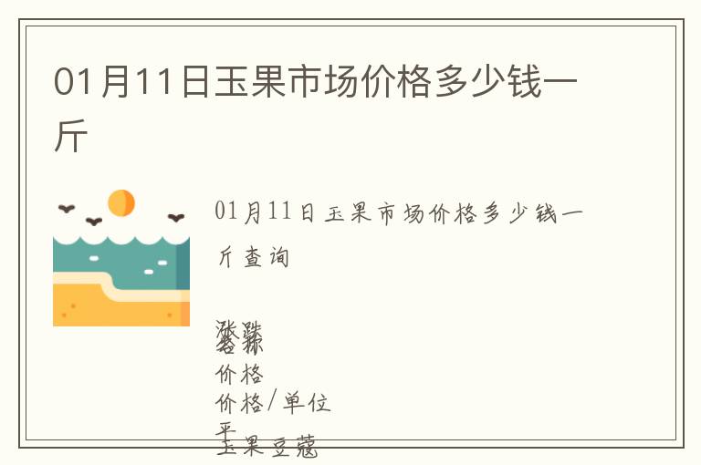 01月11日玉果市場價格多少錢一斤