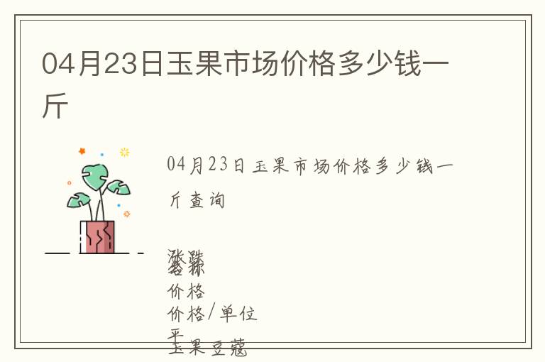 04月23日玉果市場價格多少錢一斤