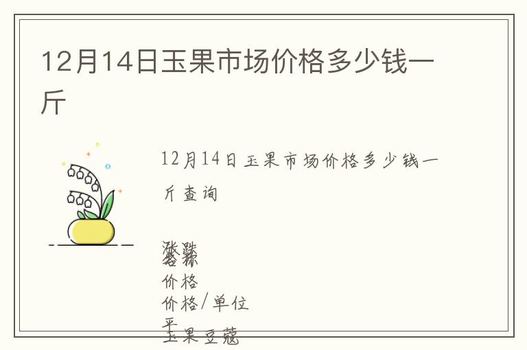 12月14日玉果市場價格多少錢一斤