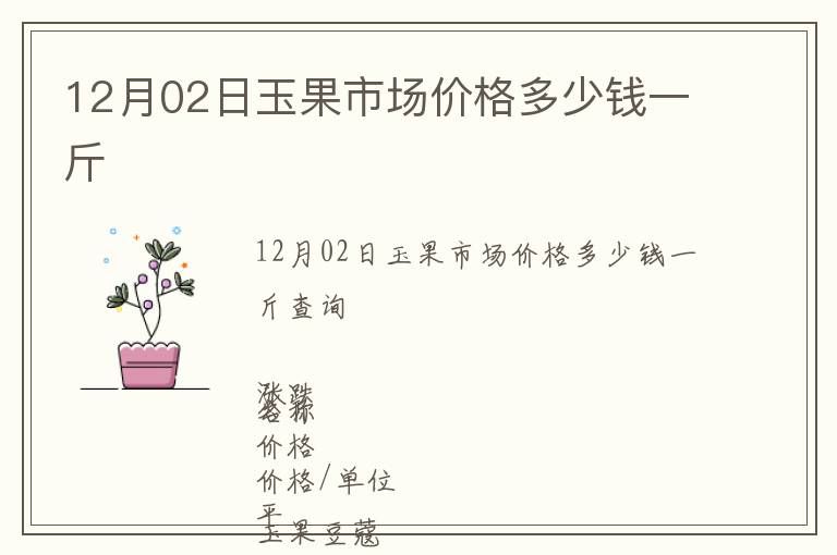 12月02日玉果市場價格多少錢一斤