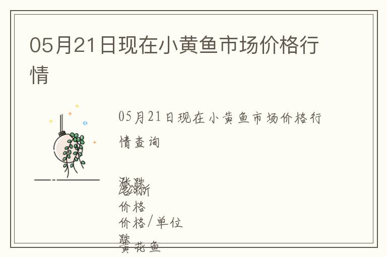 05月21日現在小黃魚市場價格行情