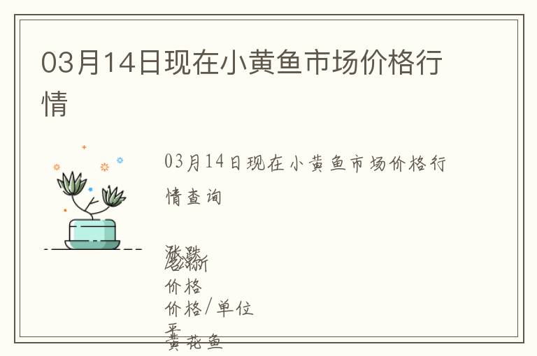 03月14日現(xiàn)在小黃魚(yú)市場(chǎng)價(jià)格行情