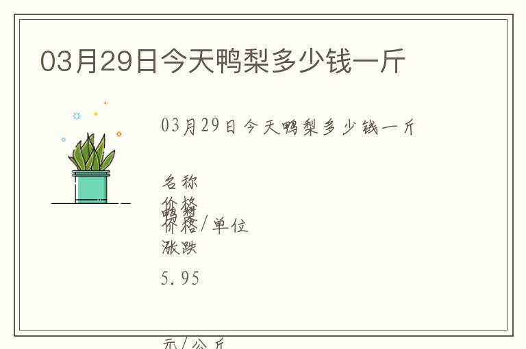 03月29日今天鴨梨多少錢一斤