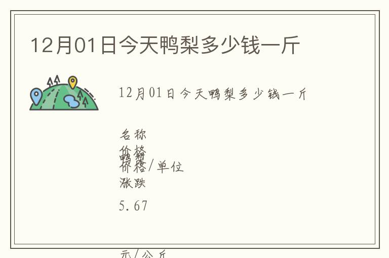 12月01日今天鴨梨多少錢一斤