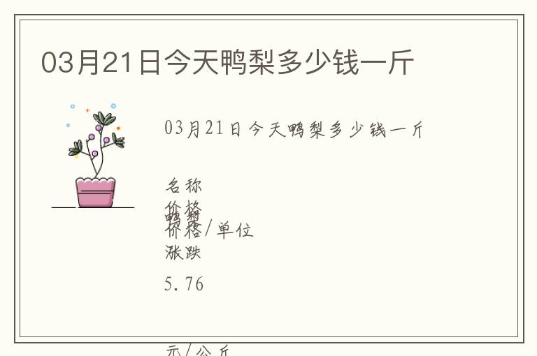 03月21日今天鴨梨多少錢一斤