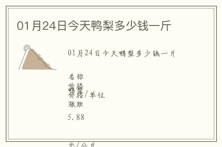 01月24日今天鴨梨多少錢一斤