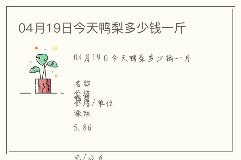 04月19日今天鴨梨多少錢一斤