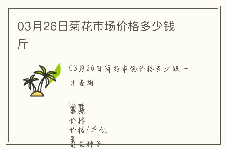 03月26日菊花市場價格多少錢一斤