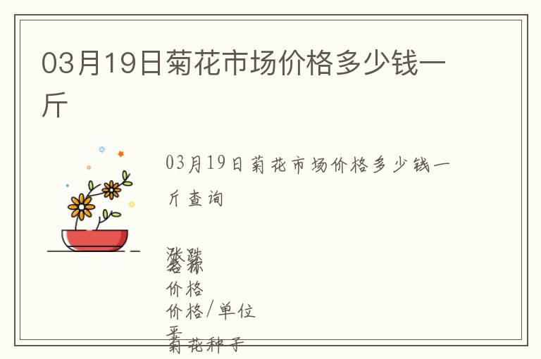 03月19日菊花市場價格多少錢一斤