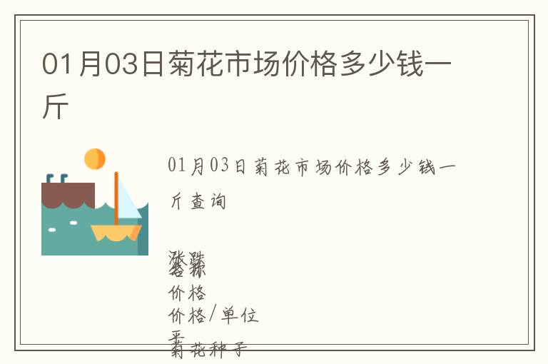 01月03日菊花市場價格多少錢一斤
