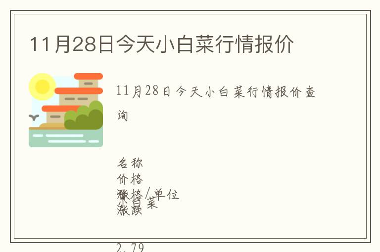 11月28日今天小白菜行情報價
