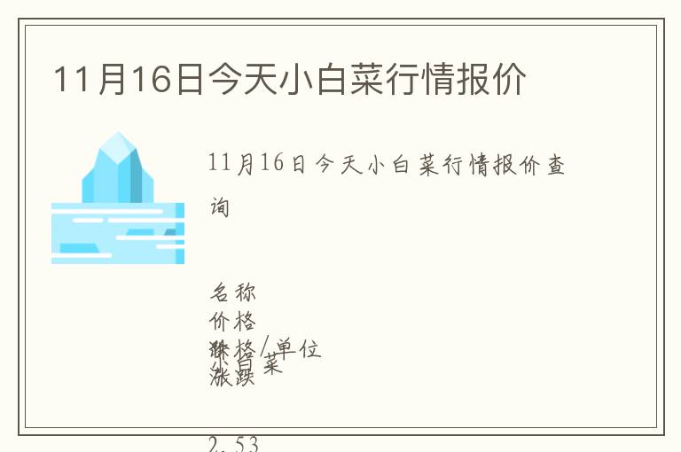 11月16日今天小白菜行情報價