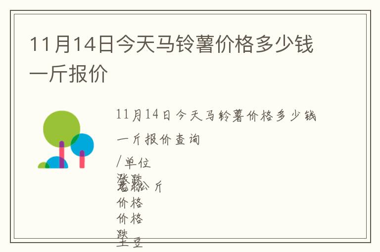 11月14日今天馬鈴薯價格多少錢一斤報價