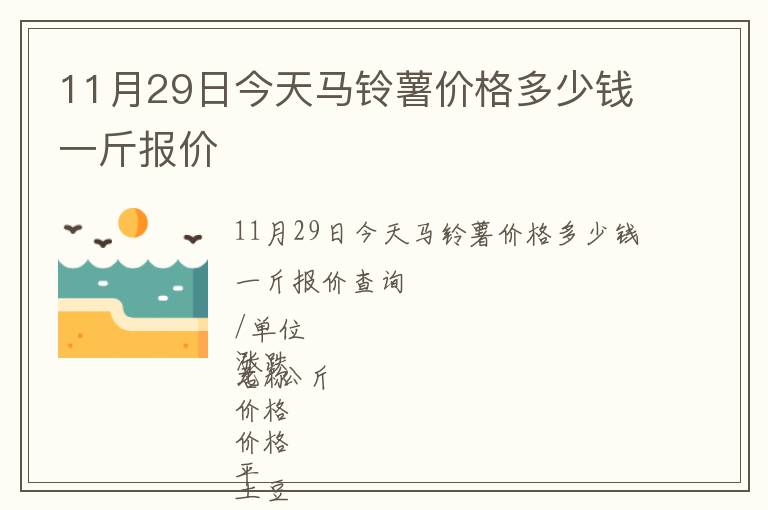 11月29日今天馬鈴薯價格多少錢一斤報價