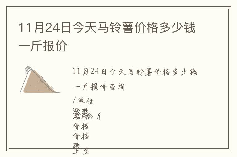 11月24日今天馬鈴薯價格多少錢一斤報價