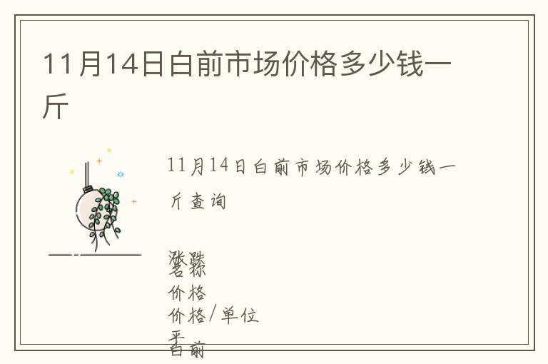 11月14日白前市場價(jià)格多少錢一斤