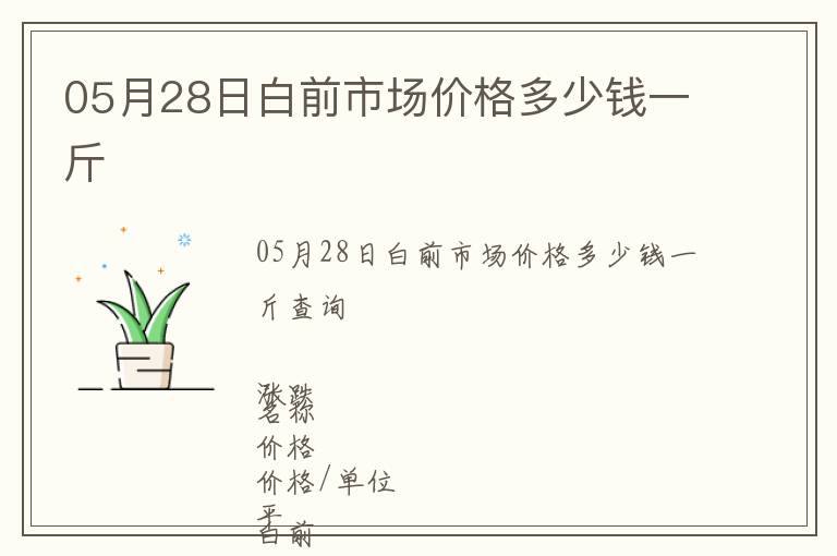 05月28日白前市場價格多少錢一斤