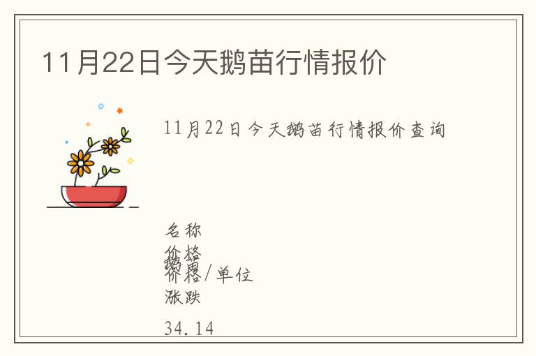 11月22日今天鵝苗行情報價