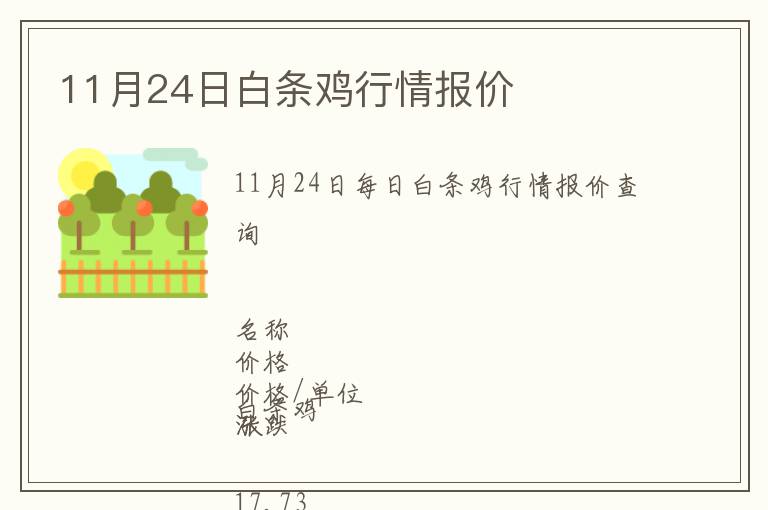 11月24日白條雞行情報價