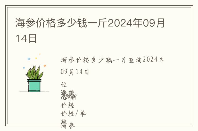 海參價(jià)格多少錢一斤2024年09月14日