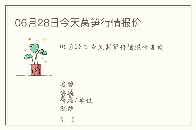 06月28日今天萵筍行情報價