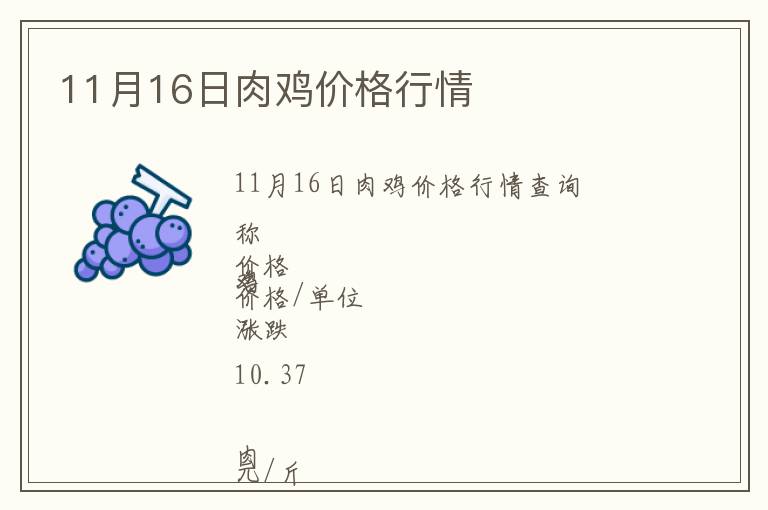 11月16日肉雞價格行情