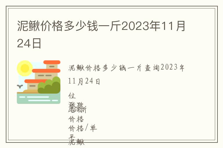 泥鰍價格多少錢一斤2023年11月24日