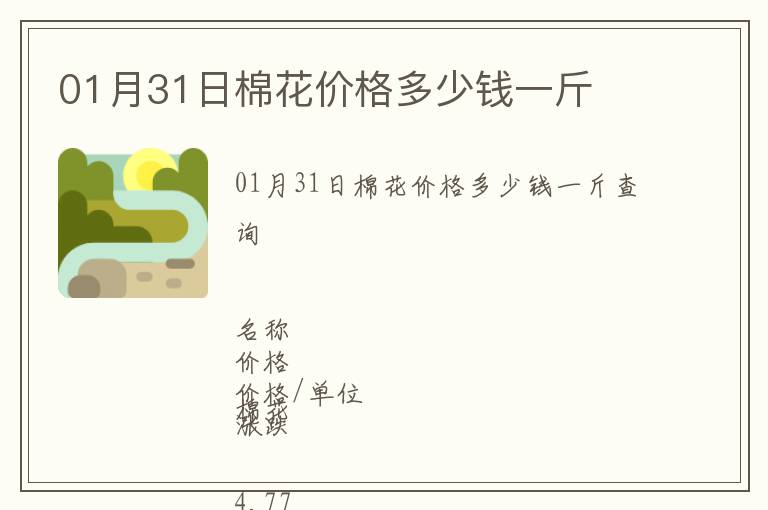01月31日棉花價格多少錢一斤
