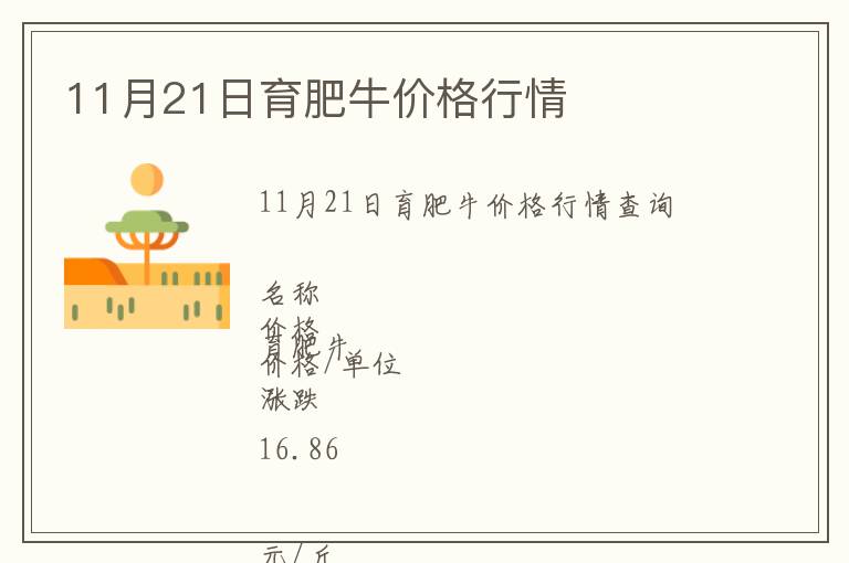 11月21日育肥牛價格行情