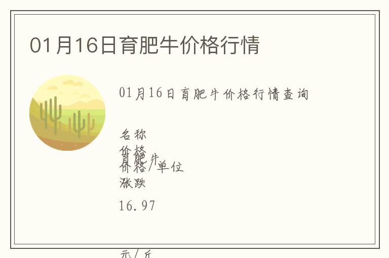 01月16日育肥牛價格行情