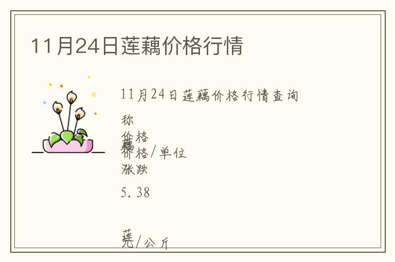 11月24日蓮藕價格行情