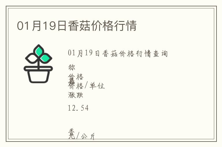 01月19日香菇價格行情